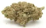 CASCA FLORES CBD PREMIUM 3G – EXCLUSIVE COLLAB TROPICAL BUD X REGULA