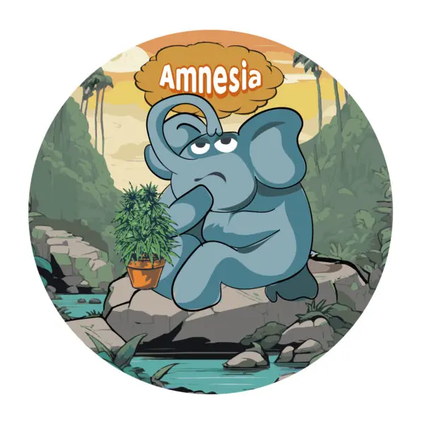 AMNESIA INDOOR FLORES CBD PREMIUM